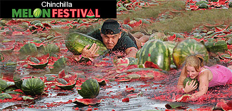 Chinchilla Melon Festival Australia Chinchilla Melon Festival Australia